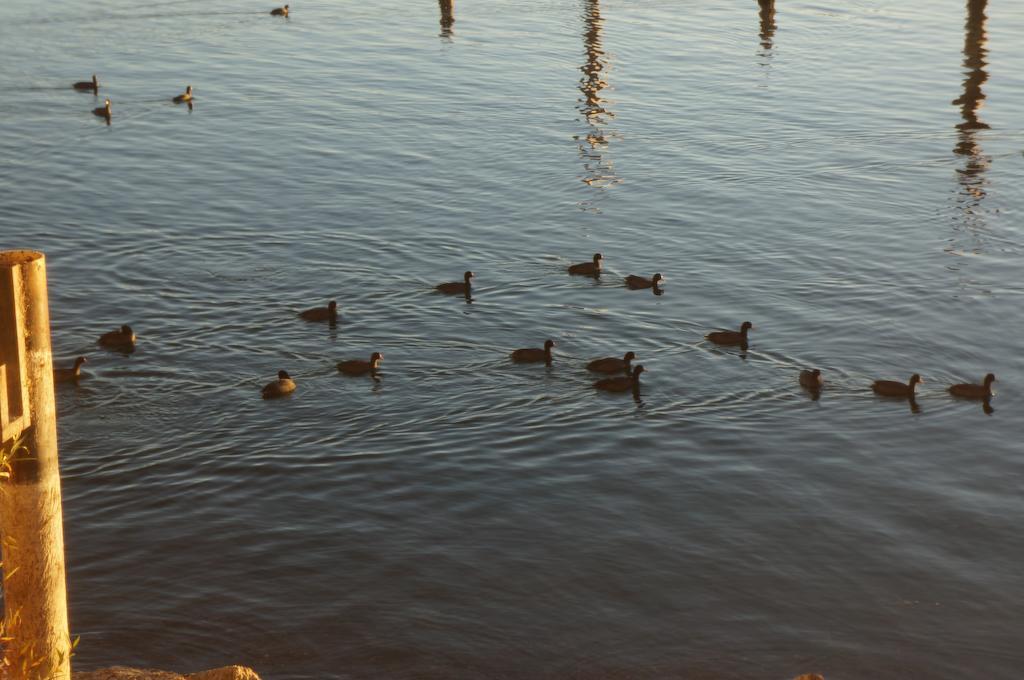 Lake Marina Inn Clearlake Oaks ภายนอก รูปภาพ
